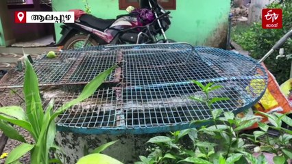 ആലപ്പുഴയിൽ കോളറ: രോഗി ഗുരുതരാവസ്ഥയിൽ ചികിത്സയിൽ