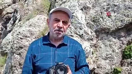 Van'da zehirli yılan görüntülendi