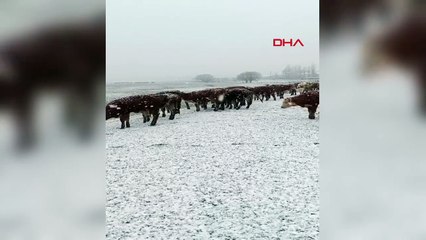 Mayıs ortasında dağlar beyaza büründü!