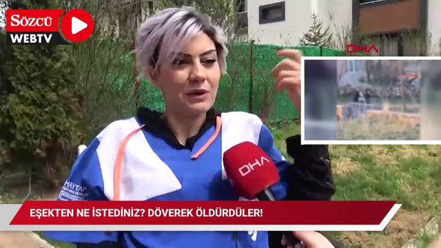 Eşekten ne istediniz? Döverek öldürdüler!