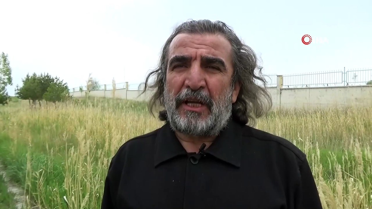 Binlerce flamingo çok sevdikleri Van'a geldi! Muhteşem manzaralar oluştu
