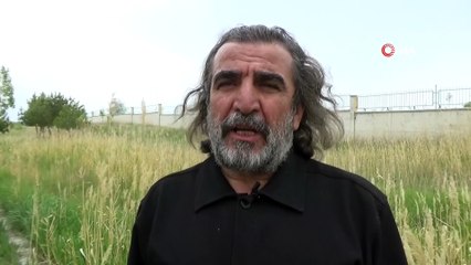 Binlerce flamingo çok sevdikleri Van'a geldi! Muhteşem manzaralar oluştu