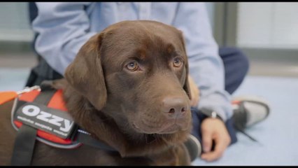 For a Smile Onlus e il progetto umanitario"BASTA UNA ZAMPA"