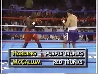 Mike McCallum vs Jeff Harding - Showtime 7-23-94