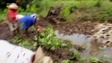 Il Giorno degli Oceani (Documentario Completo)