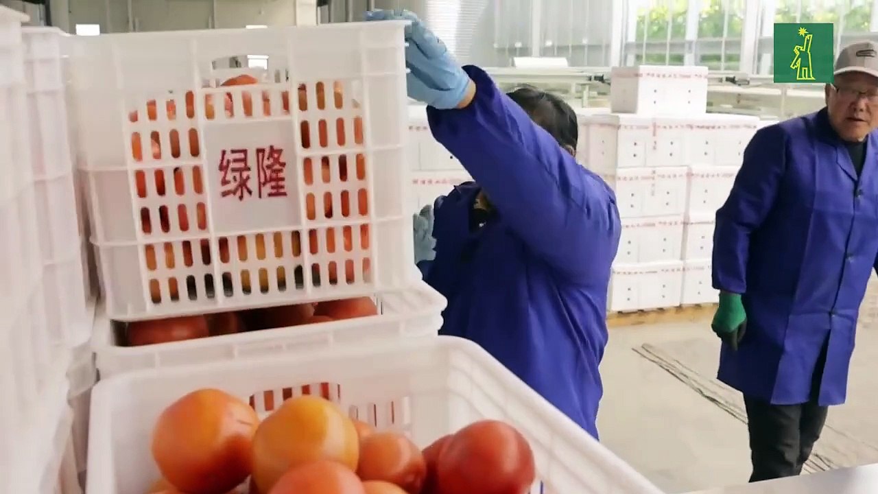 Entra en vigor la rebaja de aranceles entre China y EEUU para frenar guerra comercial