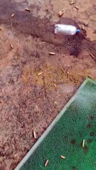 Noite de terror: Arraial do Retiro registra intensa troca de tiros; assista