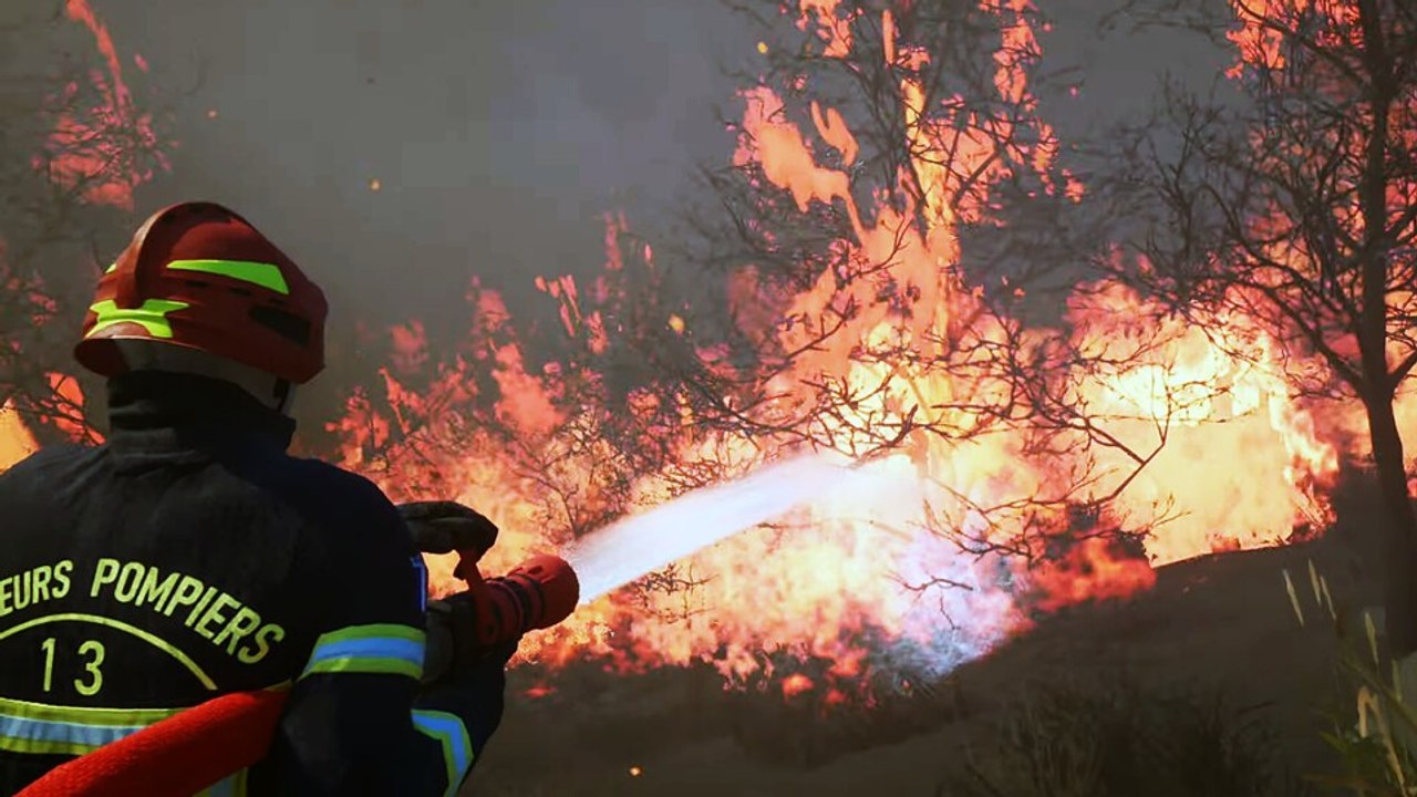 Koop-Brandbekämpfung: Rescue Ops Wildfire simuliert erschreckend glaubwürdig ein Feuer-Inferno