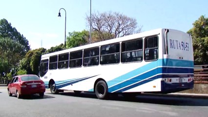 tn7-camara-de-transportistas-levanta-la-voz-contra-busetas-irregulares-140525