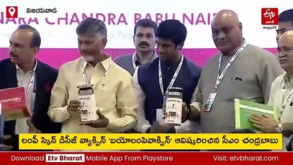 బయోలంపివ్యాక్సిన్‌ను ఆవిష్కరించిన సీఎం చంద్రబాబు