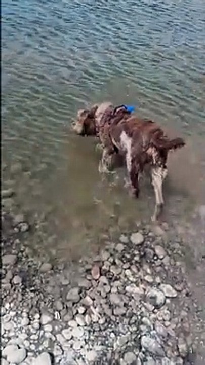 Willows first attempt at doubles