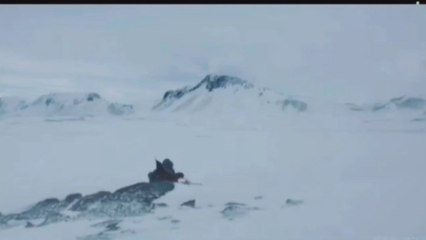 Arctic (2018) Movie Explained In Hindi/Urdu|Survival Story Summarizedहिन्दी