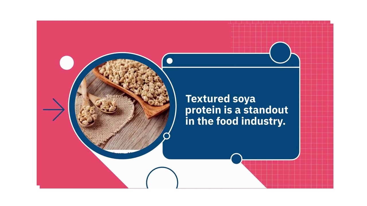 Textured Soya Protein Concentrate: A Premium Plant-Based Protein Solution