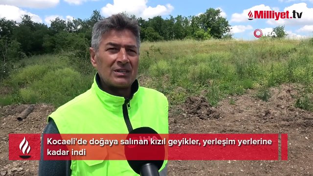 Burası Türkiye! Şehrin göbeğine kadar indiler, insanlar şaşkına döndü