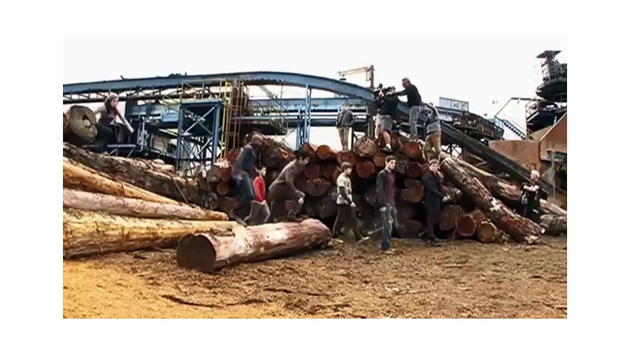 Bree Tanner Exposed: 10 Blood-Curdling Facts About Twilight's Forgotten Vampire! 🧛‍♀️💔