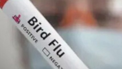 लखनऊ में बर्ड फ्लू को लेकर अलर्ट!