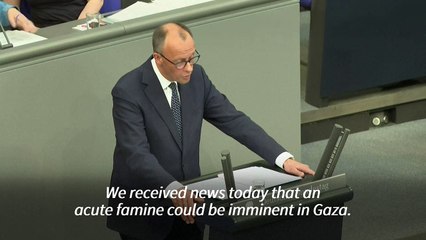 Germany's Merz urges quick steps to avert Gaza 'famine'