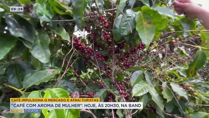 Café impulsiona o mercado e atrai turistas pelo Brasil