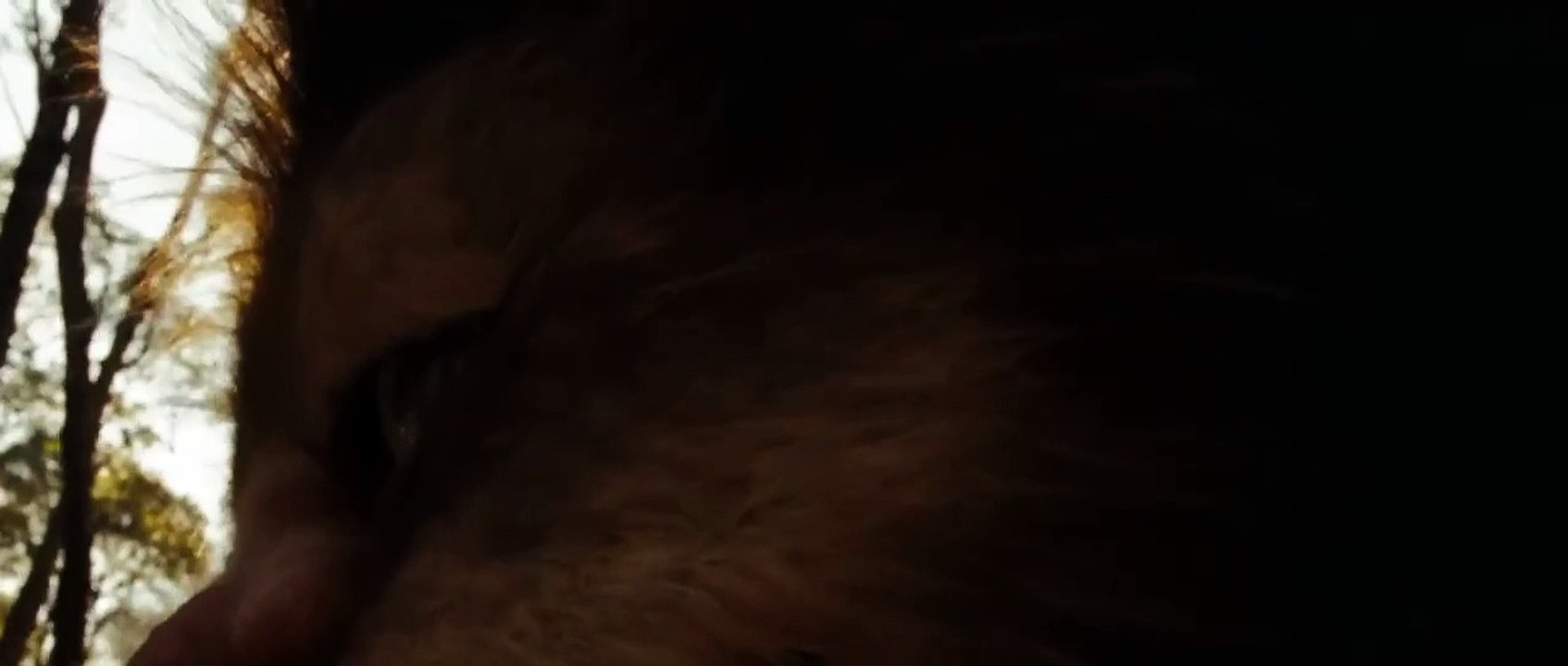 Tráiler de Donde viven los monstruos