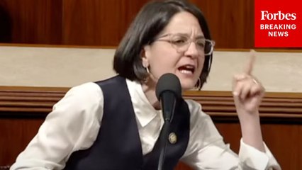 'This National Nightmare Started With A Series Of Lies!': Becca Balint Decries Trump For 'Lies'