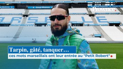 Tarpin, gâté, tanquer… ces mots marseillais  ont leur entrée au "Petit Robert"