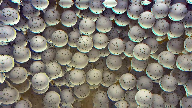 Polluants éternels : comment décontaminer l’eau