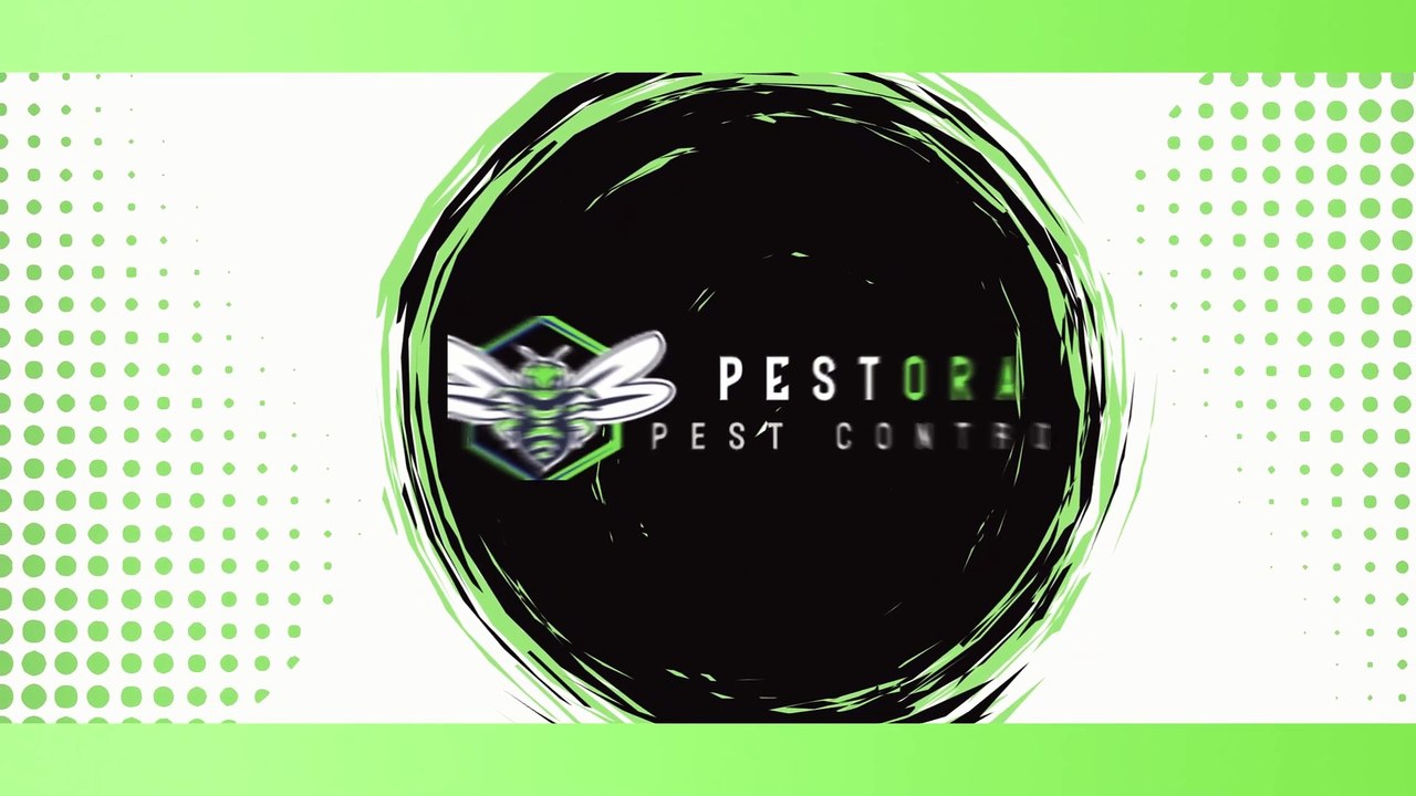 Affordable Pest Control in West Columbia SC.