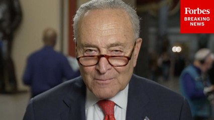 Chuck Schumer Asked: 'Did You Really Not Have Any Idea' That Biden 'Was Not Fit To Serve A Second Term?'
