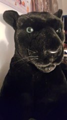 pov le mé ce ci sanport tro