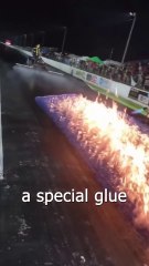 These People are Caught in a Giant Fly Trap