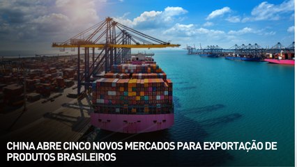 China abre cinco novos mercados para exportação de produtos brasileiros