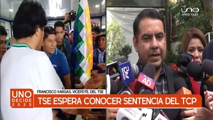 TSE espera conocer resolución del TCP sobre veto a repostulación de Evo