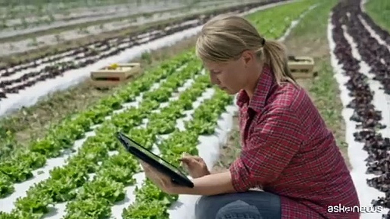 Investire nelle startup AgriFoodTech italiane per innovare settore