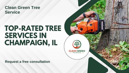 Clean Green Tree Service - Expert Tree Care You Can Trust!