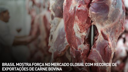 Brasil mostra força no mercado global com recorde de exportações de carne bovina