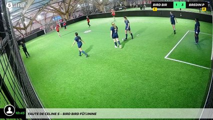 Faute de Celine S - Bird Bird Féminine