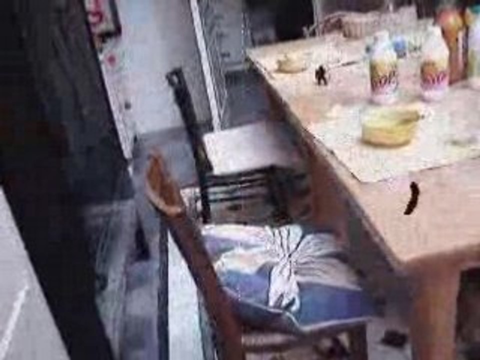 Nos ennemis les btes