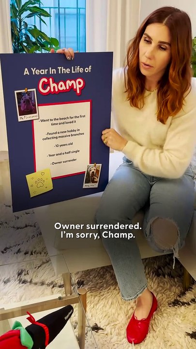 🏗️ Giant Jenga Showdown: Zosia Mamet’s Rescue Date with Champ! 🐾💙