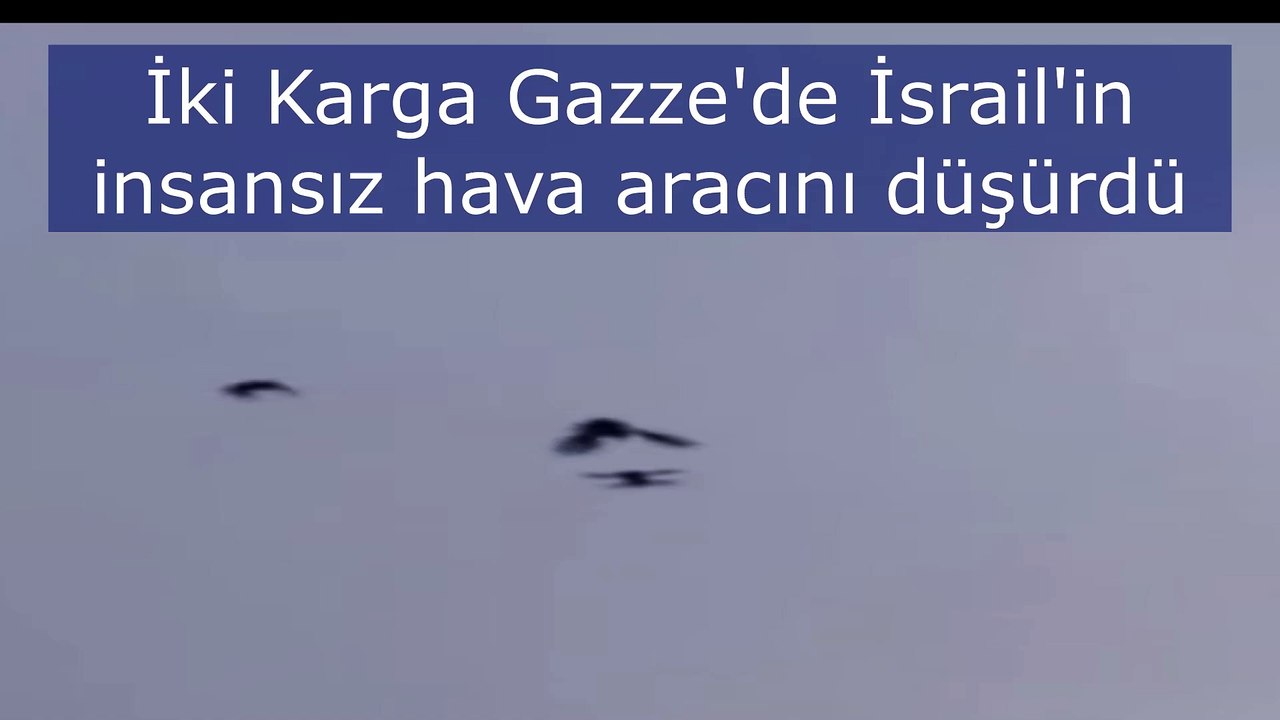 İki Karga Gazze'de İsrail'in insansız hava aracını düşürdü