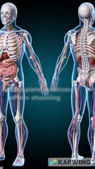 Top 5 Essential Apps for Phlebotomy Students