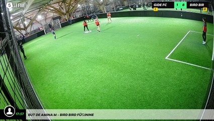 But de Amina M - Bird Bird Féminine