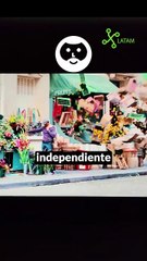 TCL QM6K Smart TV Overview