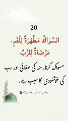 20 Yaad karane keliye chhoti chhoti Hadees