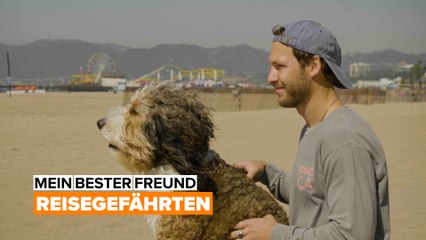 Mein Hund ist mein Seelenverwandter