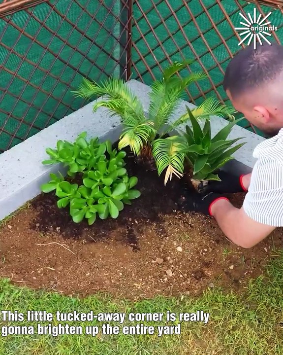 Elevate your garden with this simple DIY plant corner🌱🌿