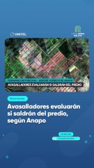 Avasalladores evaluarán si saldrán del predio, según Anapo