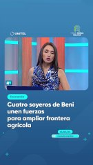 Cuatro soyeros de Beni unen fuerzas para ampliar frontera agrícola