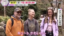 「マナーもへったくれも…」住職怒り　石垣よじ登り休館日の“隠れ寺”に無断侵入　中国人観光客を逮捕　京都の愛宕念仏寺「言葉が通じないといって忍び込んでええものなのか」