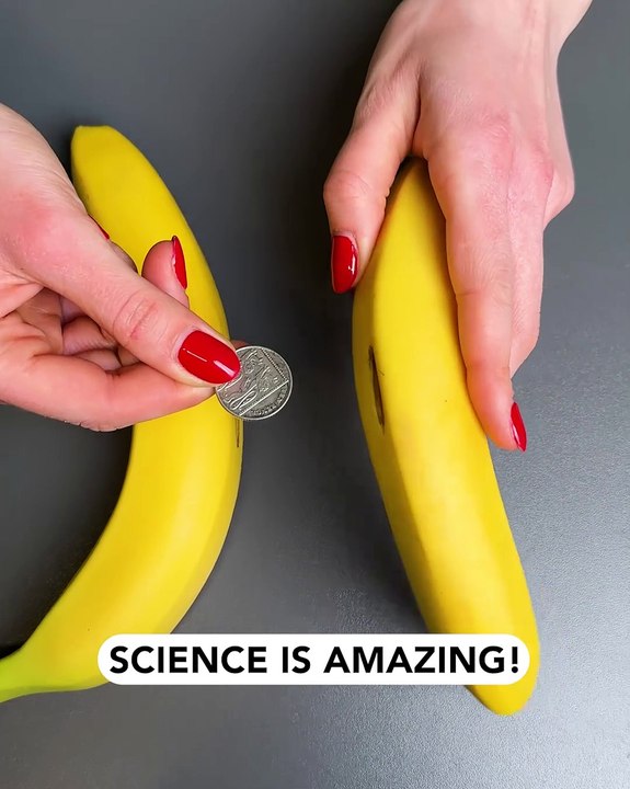 When science meets bananas