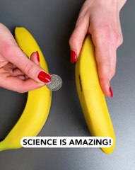 When science meets bananas